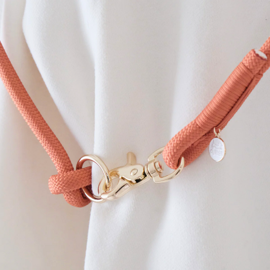 Terracotta Hands Free Braided Leash