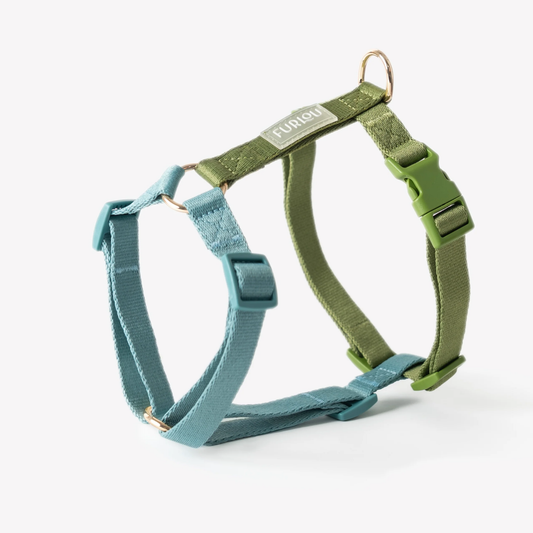 Blue and Green Dog Harness
