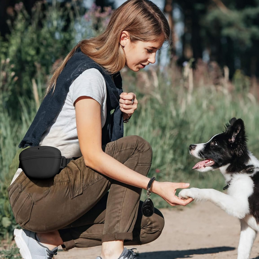 Silicon Dog Treat Pouch Black