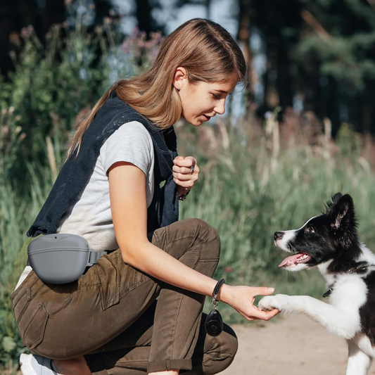 Silicon Dog Treat Pouch Grey