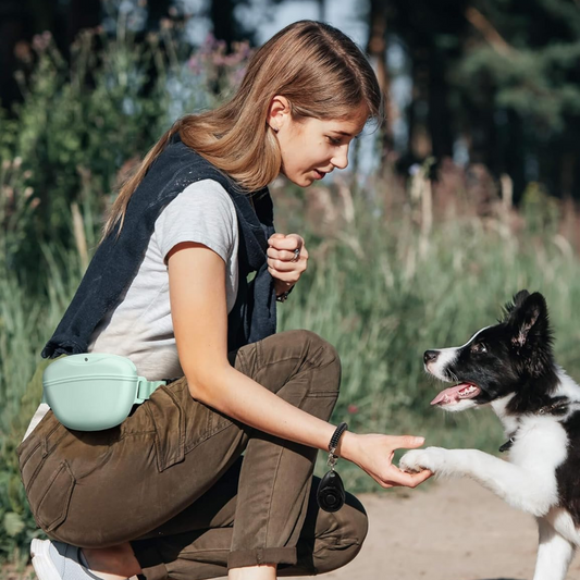 Silicon Dog Treat Pouch Mint