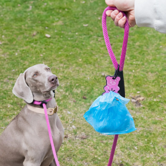 Gummy Bear Pink Poopy Loop