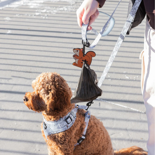 Nutty The Squirrel Poopy Loop