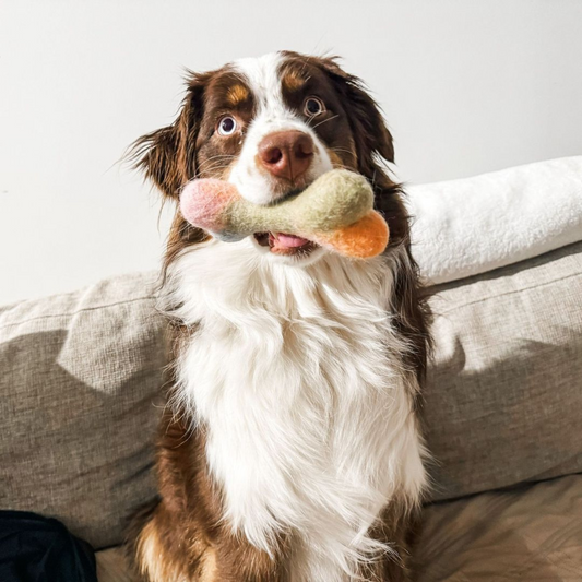 Bone Felt Toy