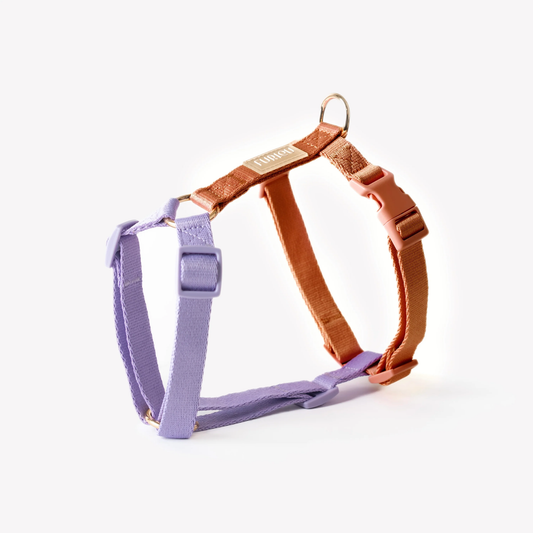 Lavender and Terracotta Dog Harness