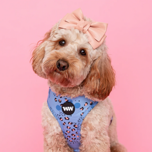 Wild Periwinkle Adjustable Harness