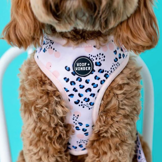 Spotted in The City Adjustable Harness