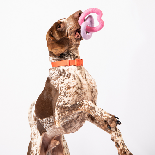 Sweethearts Felt Toy