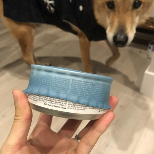 Over The Top Can Cover