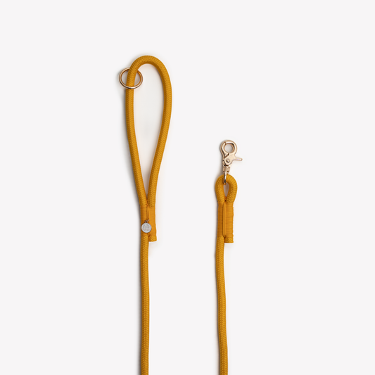 Yellow Braided Rope Leash