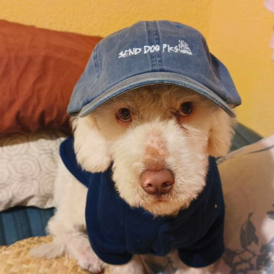 Send Dog Pics Cap