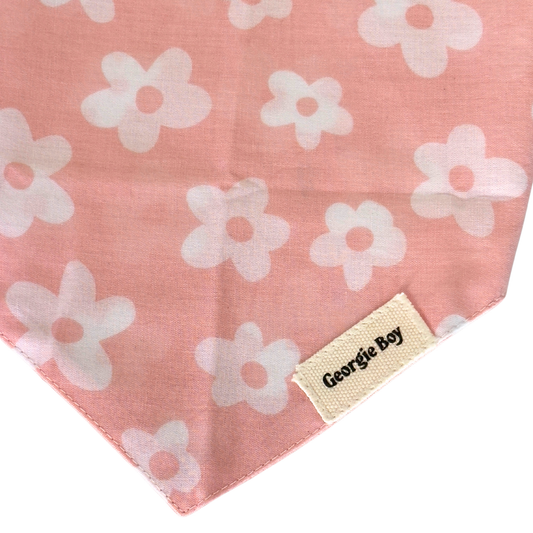 Daisie Bandana