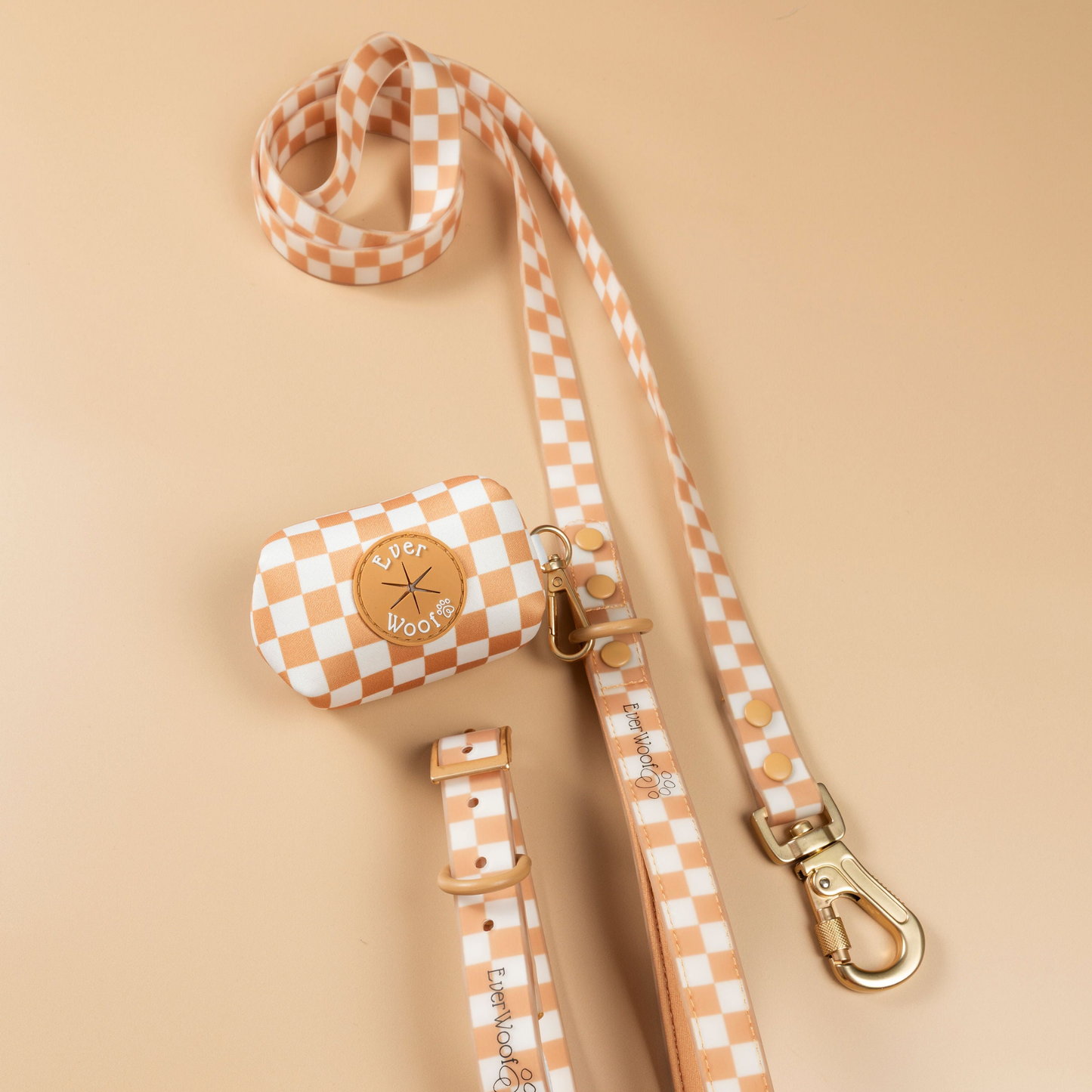 Check Me Out Waterproof Leash