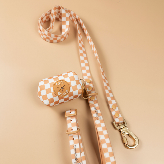 Check Me Out Waterproof Leash