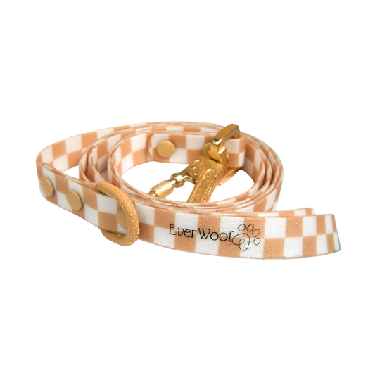 Check Me Out Waterproof Leash