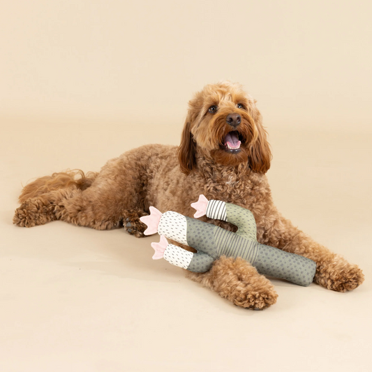 I Can Be A Bit Prickly