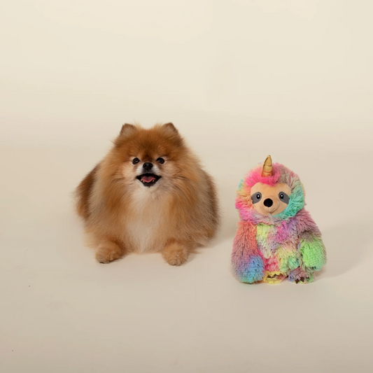 Confetti Betti The Slothicorn