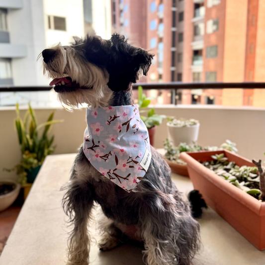 Cherry Blossom Bandana