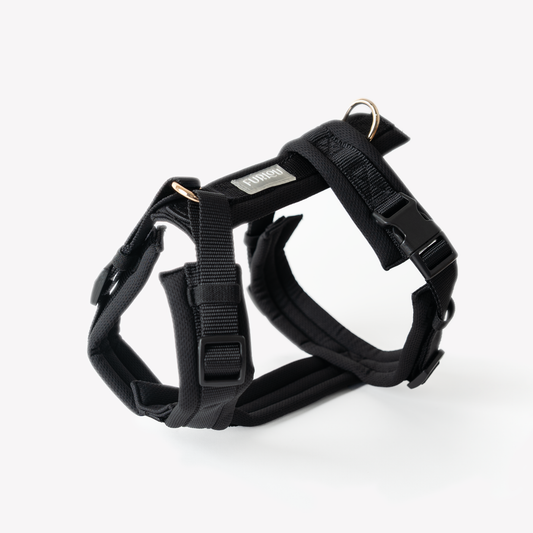 Black Comfort Dog Harness