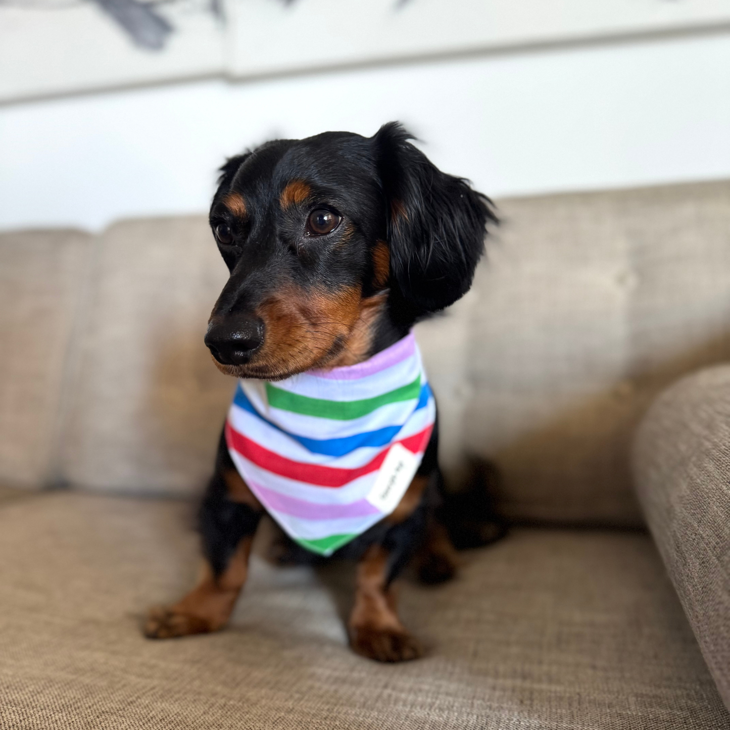 Striped Bandana