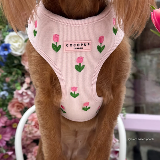Tulip Tails Adjustable Neck Harness