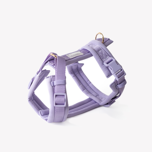 Lavender Comfort Dog Harness