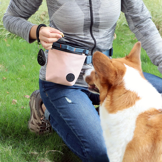 Dog Treat Pouch Pink