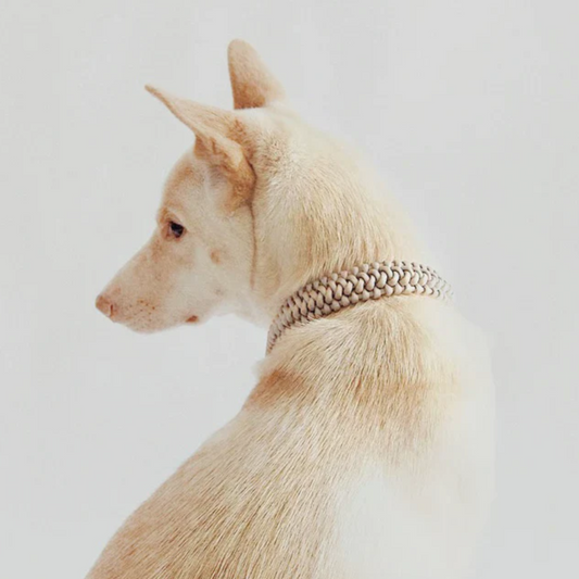New Jupiter Collar - Beige