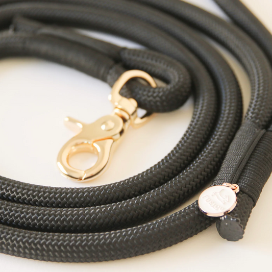 Black Braided Rope Leash