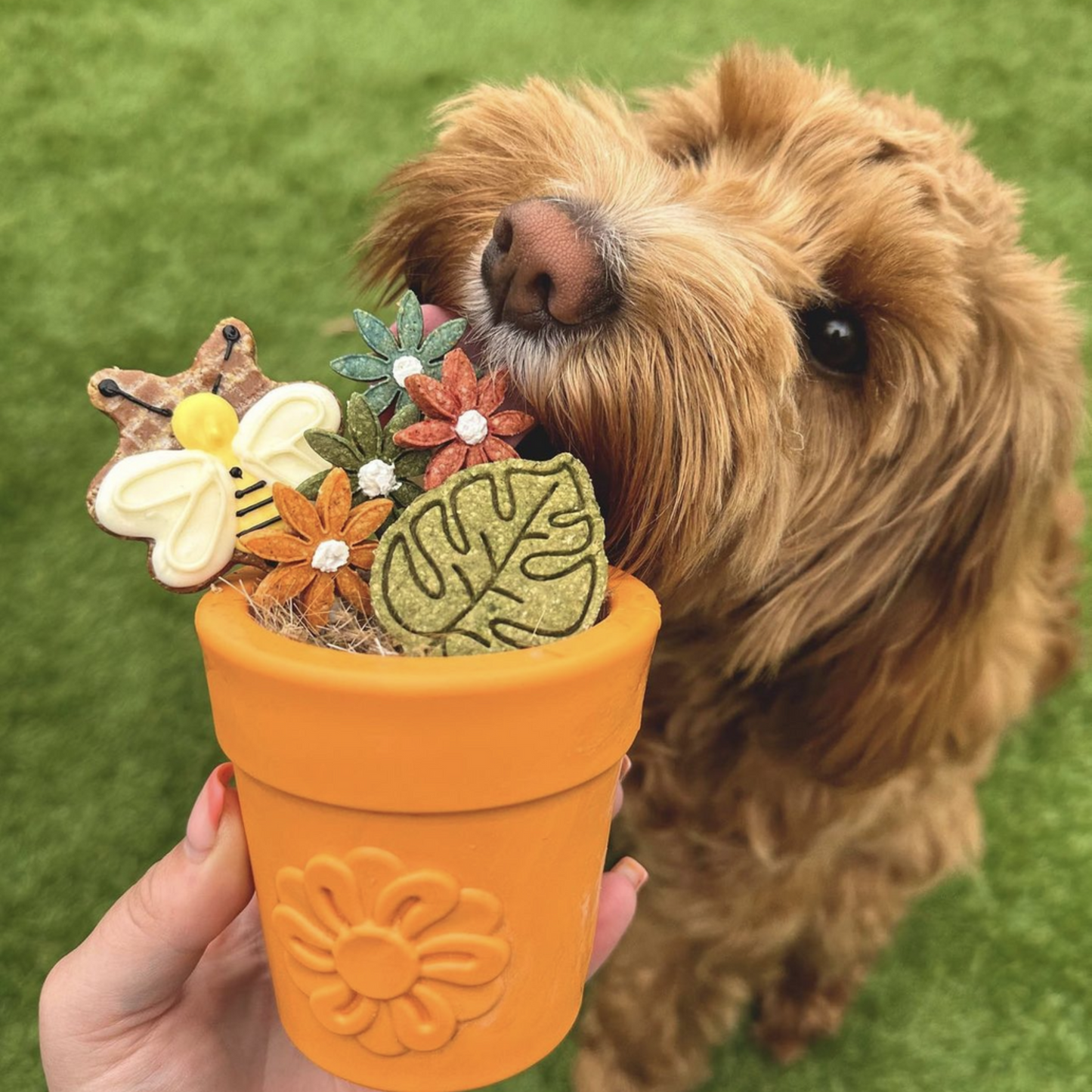 Large Flower Pot Treat Dispenser & Enrichment Toy