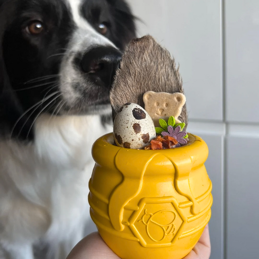 Large Honey Pot Treat Dispenser