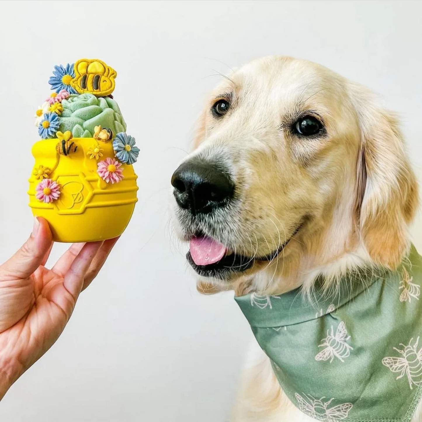 Large Honey Pot Treat Dispenser
