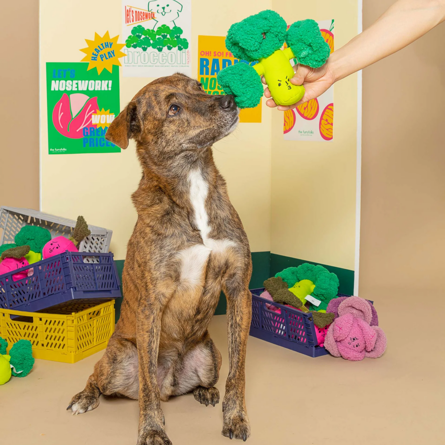 Broccoli Nosework Toy