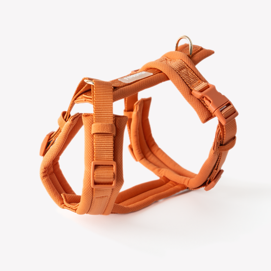 Terracotta Comfort Dog Harness