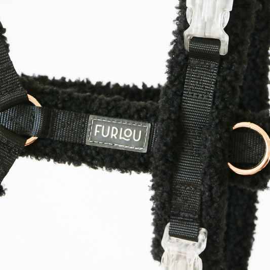 Black Sherpa Dog Harness