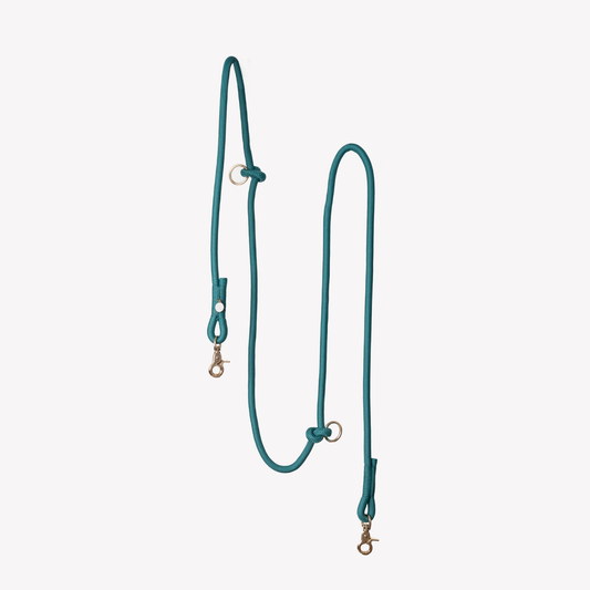 Blue Teal Hands Free Braided Leash