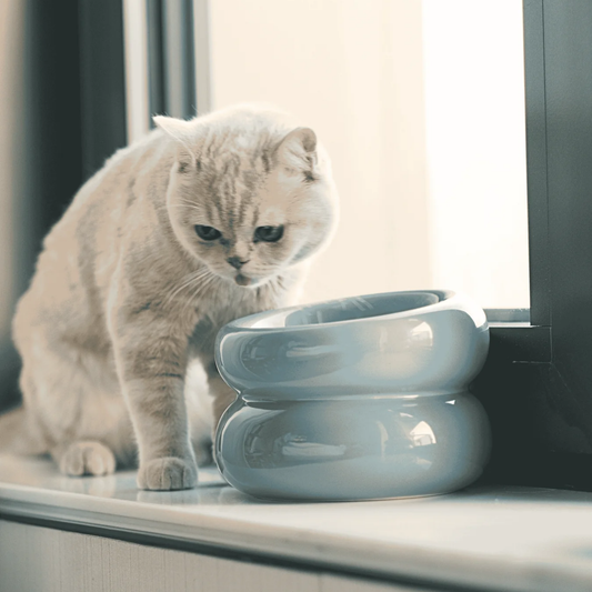 Soufflé Bowl Frozen Blue