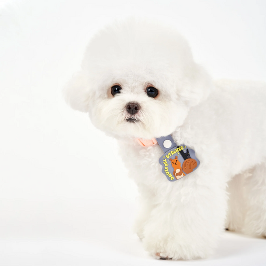 Squirrel Stalker Daily Clip