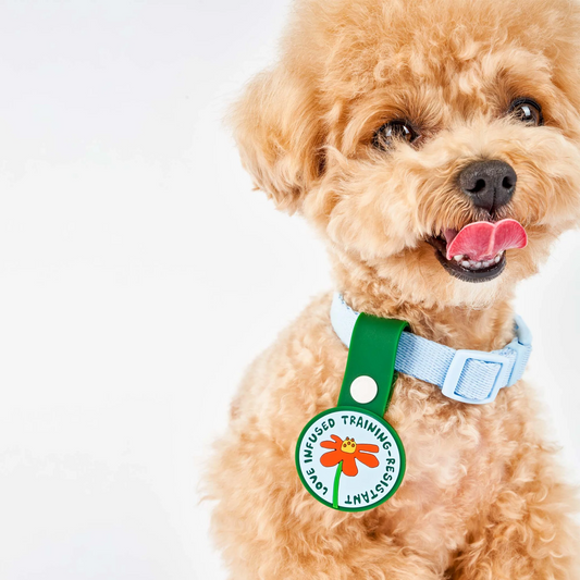 Love Infused Training Resistant Daily Clip