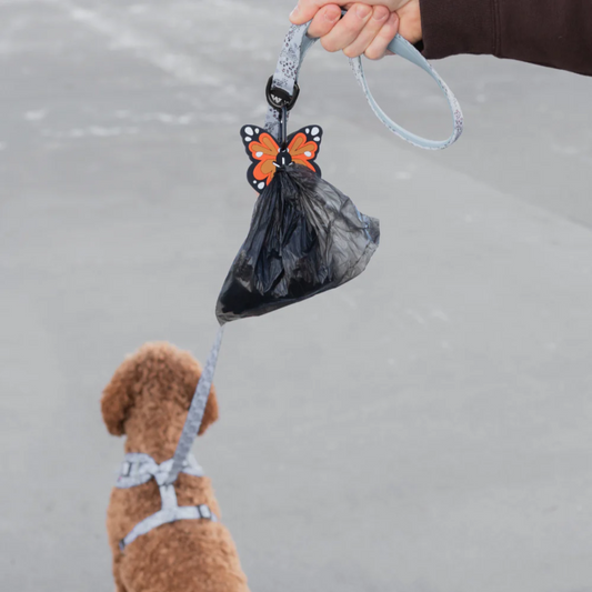 Butterfly Poopy Loop