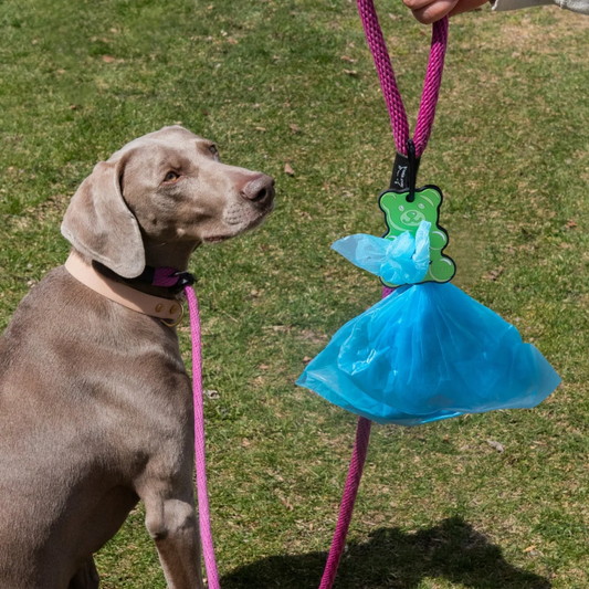 Gummy Bear Green Poopy Loop