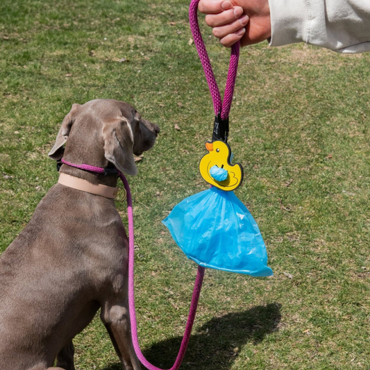 Rubber Ducky Poopy Loop