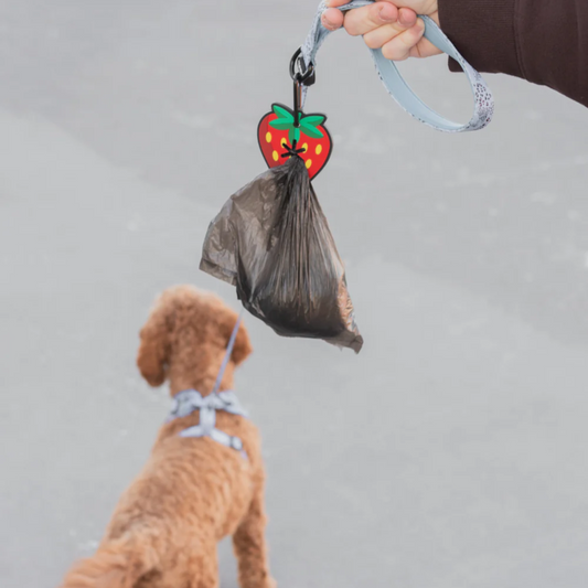 Strawberry Poopy Loop