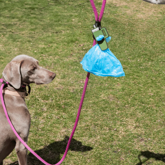 Tumbler Green Poopy Loop