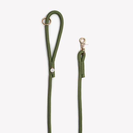 Green Braided Rope Leash