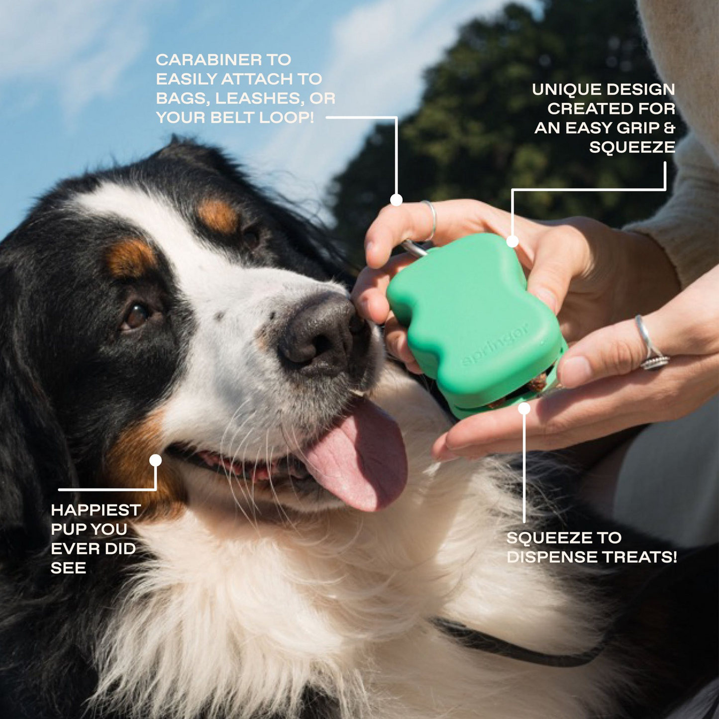 Springer Silicone Dog Treat Dispenser