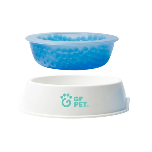 Ice Cold Pet Cooling Water Bowl