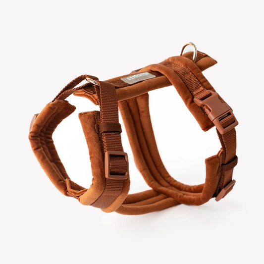 Clay Velvet Dog Harness