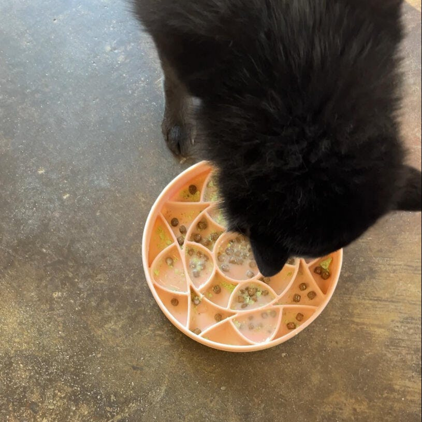 Circulo Slow Feeder Bowl