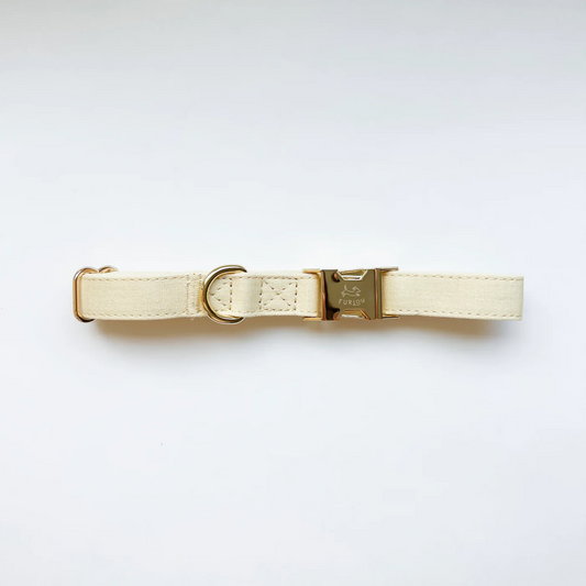 Cream Ivory Dog Collar